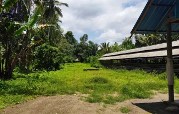 Tanah Disewakan di Petang, Badung, Bali