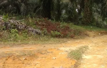 Tanah Dijual di Rengat, Indragiri Hulu, Riau