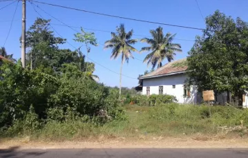 Tanah Dijual di Bone, Sulawesi Selatan