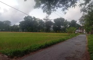 Tanah Disewakan di Mlati, Sleman, Yogyakarta
