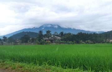 Tanah Dijual di Cibungbulang , Kota Bogor | Lamudi