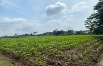 Tanah Dijual di Terbanggi Besar, Lampung Tengah, Lampung