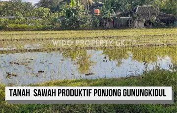 Tanah Dijual di Ponjong, Gunung Kidul, Yogyakarta