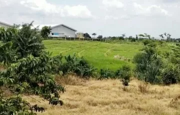 Tanah Dijual di Sukorejo, Pasuruan, Jawa Timur