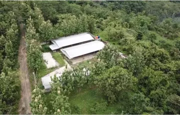 Tanah Dijual di Rangkasbitung, Lebak, Banten