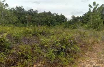 Tanah Dijual di Sanggau, Kalimantan Barat