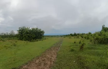 Tanah Disewakan di Wajo, Sulawesi Selatan