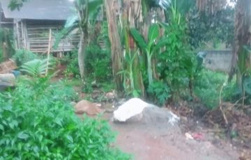 Jual Tanah Kebun Murah Di Bogor | Lamudi Indonesia