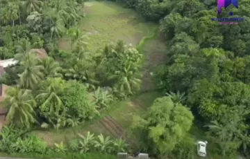 Tanah Dijual di Warunggunung, Lebak, Banten