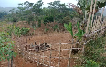 Tanah Dijual di Soreang, Bandung, Jawa Barat