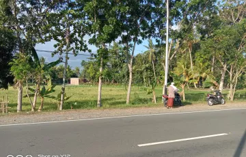 Tanah Dijual di Jonggat, Lombok Tengah, Nusa Tenggara Barat