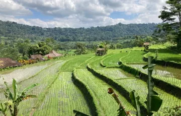 Vila Dijual di Sidemen, Karangasem, Bali