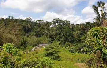 Tanah Disewakan di Ubud, Gianyar, Bali