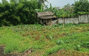 Tanah Dijual di Cilebut, Bogor, Jawa Barat