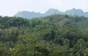 Tanah Dijual di Borobudur, Magelang, Jawa Tengah