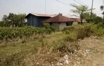 Tanah Dijual di Jombang, Jawa Timur