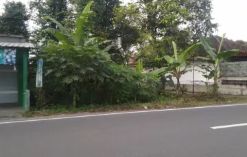 Tanah Disewakan di Kalasan, Sleman, Yogyakarta