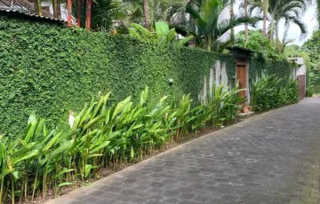 Tanah Dijual di Pererenan, Badung, Bali