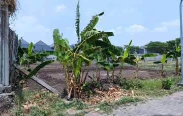 Tanah Dijual di Tandes, Surabaya, Jawa Timur