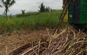 Tanah Dijual di Blitar, Jawa Timur