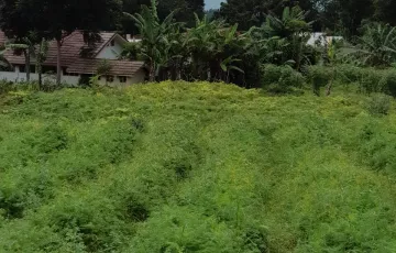 Tanah Dijual di Puncak, Bogor, Jawa Barat
