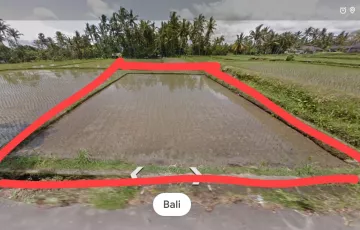 Tanah Dijual di Tampaksiring, Gianyar, Bali
