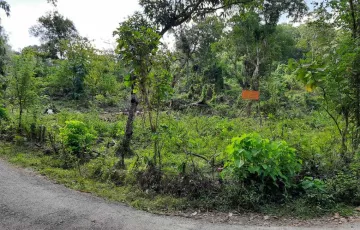 Tanah Disewakan di Parangloe, Gowa, Sulawesi Selatan