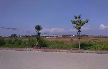 Tanah Disewakan di Sidoarjo, Jawa Timur