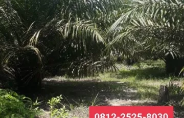 Tanah Dijual di Bengkalis, Riau