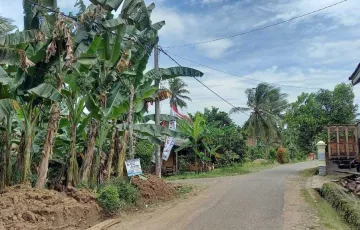 Tanah Dijual di Gedong Tataan, Pesawaran, Lampung