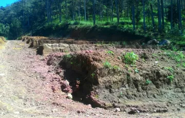 Tanah Dijual di Songgokerto, Batu, Jawa Timur