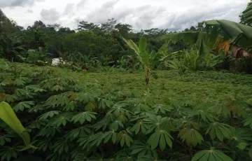 Tanah Dijual di Ciambar, Sukabumi, Jawa Barat
