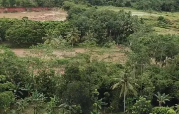 Tanah Dijual di Rangkasbitung, Lebak, Banten