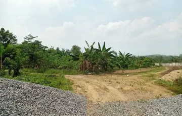 Tanah Disewakan di Kaliwungu, Kendal, Jawa Tengah