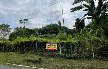 Tanah Disewakan di Jangli, Semarang, Jawa Tengah