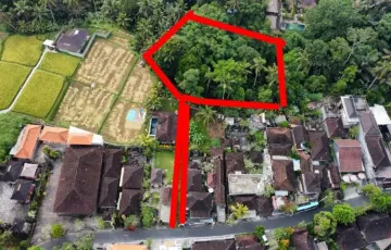 Tanah Dijual di Ubud, Gianyar, Bali