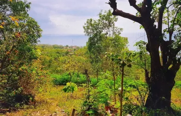 Tanah Dijual di Nusa Penida, Klungkung, Bali