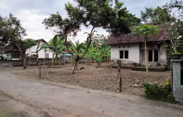 Tanah Disewakan di Berbah, Sleman, Yogyakarta