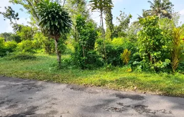 Tanah Disewakan di Pakem, Sleman, Yogyakarta