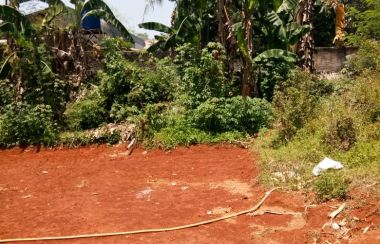 Tanah Dijual  di Parung  Panjang Kota Bogor  Lamudi