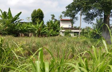  Tanah  Dijual di Suka  Maju Kota Medan Lamudi