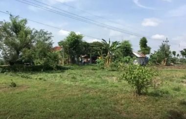 Tanah Dijual Di Kecamatan Rembang Pasuruan