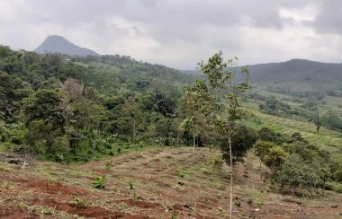 Tanah Dijual di Puncak , Kota Bogor | Lamudi