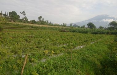 Malang East Java Tanah Dijual di Dau Kota Malang  Lamudi