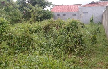 Tanah Dijual Di Ciapus Kota Bogor Lamudi