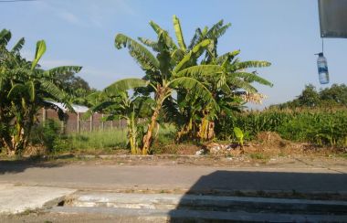 Tanah Dijual Di Bangil Kota Pasuruan Lamudi