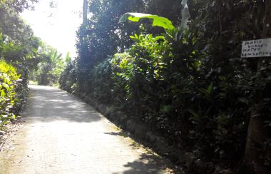 Tanah Dijual Di Ciapus Kota Bogor Lamudi