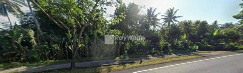 Tanah Komersial Pinggir Jalan Raya Pekutatan Jembrana Dijual Cepat