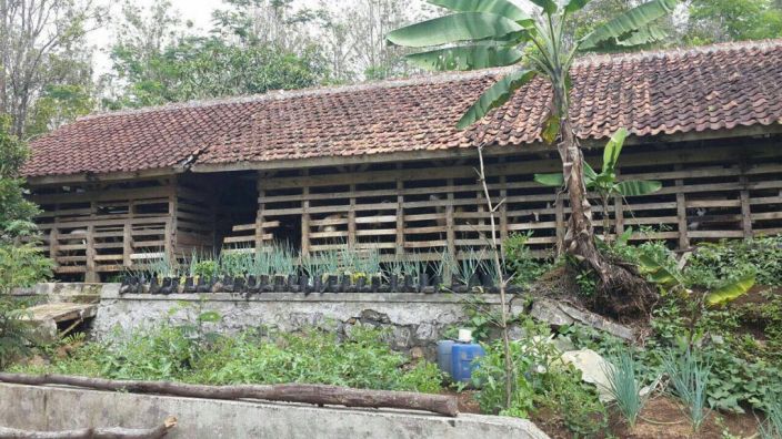 Tanah kebun luas di Guranteng Tasikmalaya