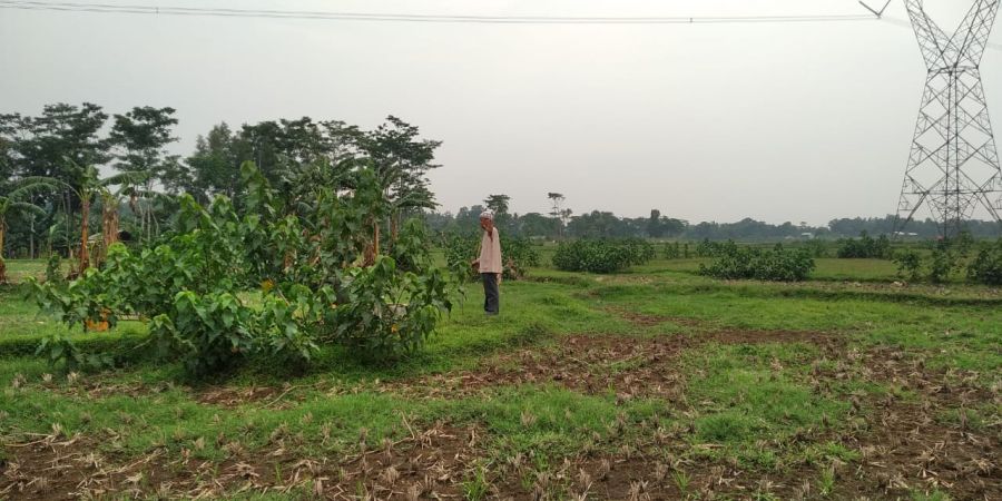 Rancho Indah Raya Tanj Barat Jakarta Selatan Jakarta Selatan